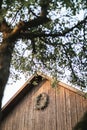 Bottom view of the tree branches and leaves on the summer sky background, and vintage old wooden barn with dry flower Royalty Free Stock Photo