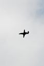 Silhouette of a private jet flying over tropical sea