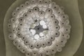 Bottom view of White gorgeous vintage chandelier decoration