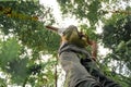 Bottom view of Young adventurer with a backpack standing in the jungle. concept getting away from it all Royalty Free Stock Photo