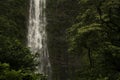 Bottom of Waimoku Falls