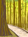 Bottomland Hardwood Forest in Congaree National Park South Carolina WPA Poster Art Royalty Free Stock Photo
