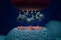Botulinum neurotoxin C1 blocks neurotransmitter release - 3d illustration isometric view