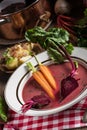 Botwinka - Soup of young beet leaves Royalty Free Stock Photo