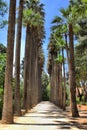 Bou Jeloud Gardens in Fes, Morocco Royalty Free Stock Photo