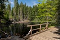 Boubin lake, primeval forest, Bohemian Forest National Park.