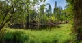 Boubin lake, primeval forest, Bohemian Forest National Park.