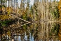 Boubin lake.Reflection of fall trees of Boubin Primeval Forest,Sumava Mountains, Czech Republic.Water reservoir Czech National