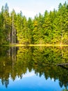 Boubin lake. Reflection of lush green trees of Boubin Primeval Forest, Sumava Mountains, Czech Republic
