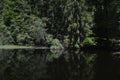 Boubinsky prales - nature trail leading through the mountains Bubino vegetation; lake and primeval forest in Shumava Royalty Free Stock Photo