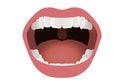 Illustration showing an open mouth.BOUCHE - Ouverte Royalty Free Stock Photo