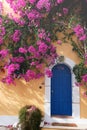 Bougainvillaea in Assos Royalty Free Stock Photo