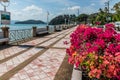 Bougainvillaea and promenade at Cape Panwa, Phuket, Thailand Royalty Free Stock Photo