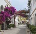 Bougainvillea with arches over floral avenue at Puerto de Mogan on Gran Canaria.