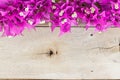 Bougainvillea flower on grain wood Royalty Free Stock Photo