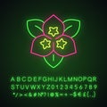 Bougainvillea flower neon light icon