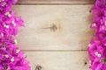 Bougainvillea flower on wood background Royalty Free Stock Photo