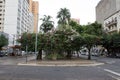 Bougainvillea flowers on Goias avenue, Goiania/Brazil