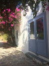 Bougainvillea flowers grow near a white house with a blue door, Royalty Free Stock Photo