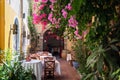 Bougainvillea flowers in street cafe, located near blue lagoon at Symi island, Greece Royalty Free Stock Photo