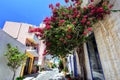 Bougainvillea paper flower on a stone wall of building