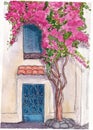 Bougainvillea pink flower entwines the wall of an old house. Building`s facade. Old blue door. Window with shutters. Wall and woo Royalty Free Stock Photo
