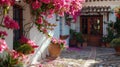 Bougainvillea plants in a clay pot stands on the terrace of a classic rustic Spanish house Royalty Free Stock Photo