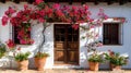 Bougainvillea plants in a clay pot stands on the terrace of a classic rustic Spanish house Royalty Free Stock Photo