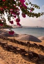 Bougainvillea, sea, sand and sun is a Greece Royalty Free Stock Photo