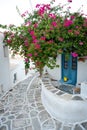 Bougainvillea in the streets of Lefkes, Paros Royalty Free Stock Photo
