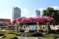 Bougainvillea summer house in the city