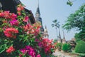 Bougainvillea In the temple Royalty Free Stock Photo