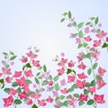 Bougainvilleas flowers on blue vector design. Royalty Free Stock Photo