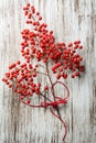 Boughs of holli network, on rustic wood Royalty Free Stock Photo