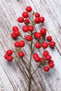 Boughs of holli network, on rustic wood Royalty Free Stock Photo