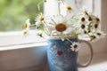 Bouguet of daisies in a mug on an old windowsill close-up with a blurred background.