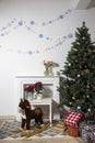 The bouguet ranunculus in a vase next to the background of a Christmas tree. Fireplace on the background of a white wall