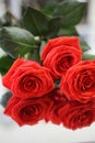 Bright red roses with green leaves reflected in the mirror. Closeup. Royalty Free Stock Photo