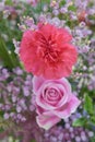 Bouguet, roses and carnations.