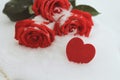 A bouguet of snow-covered red roses and a sign of a heart