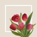 Bouguet of tulips