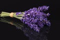 Bouguet of violet lavendula flowers isolated on black background