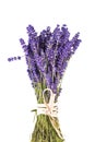 Bouguet of violet lavendula flowers isolated on white background Royalty Free Stock Photo