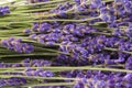 Bouguet of violet lavendula flowers isolated on white background Royalty Free Stock Photo