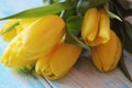 Bouguet yellow tulips on a blue wooden background laid out on ton close-up.