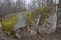 A boulder or bowlder (a rock fragment) in the forest Royalty Free Stock Photo