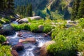 Boulder Creek Surrounded by Summer Wildflowers Royalty Free Stock Photo