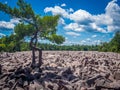 Boulder field in Hickory Run State Park Royalty Free Stock Photo