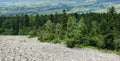 Boulder field, Swietokrzyskie Mountains, Poland Royalty Free Stock Photo