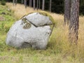 Boulder in forest Royalty Free Stock Photo